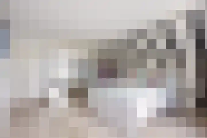 Oosthuizerweg 48 Noordbeemster thumbnail 26