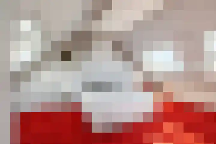 Oosthuizerweg 48 Noordbeemster thumbnail 31