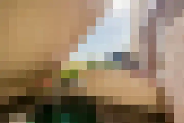 Oosthuizerweg 48 Noordbeemster thumbnail 34