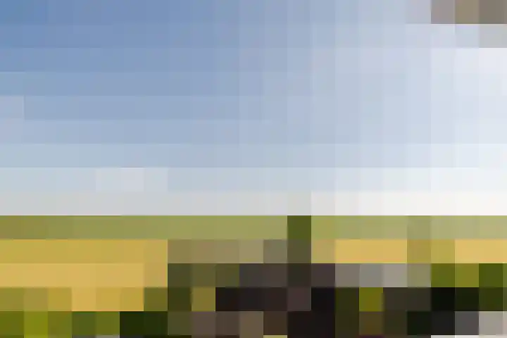 Oosthuizerweg 48 Noordbeemster thumbnail 35