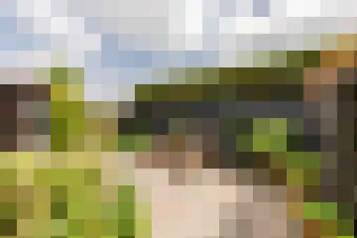 Oosthuizerweg 48 Noordbeemster thumbnail 48
