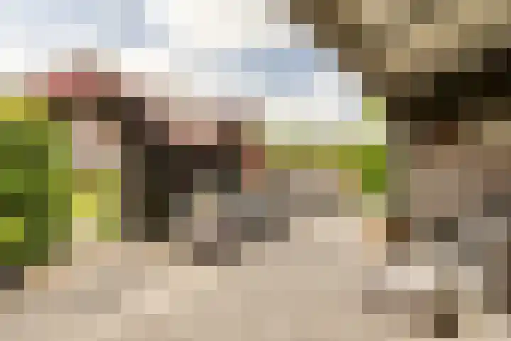 Oosthuizerweg 48 Noordbeemster thumbnail 50