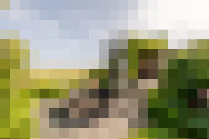 Oosthuizerweg 48 Noordbeemster thumbnail 53