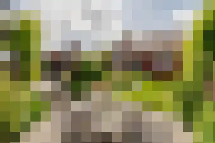 Oosthuizerweg 48 Noordbeemster thumbnail 54