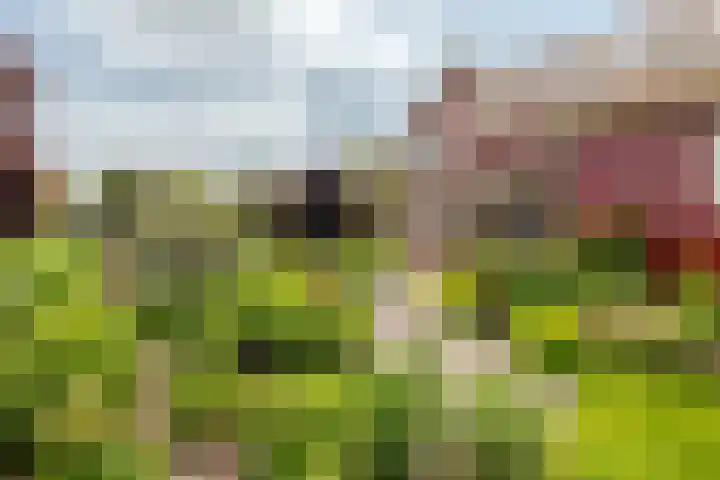 Oosthuizerweg 48 Noordbeemster thumbnail 55