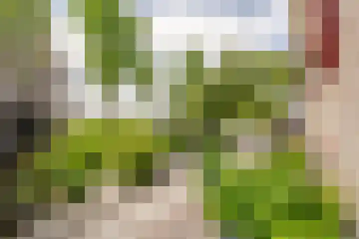 Oosthuizerweg 48 Noordbeemster thumbnail 59