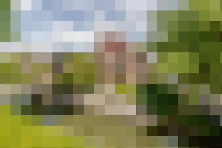 Oosthuizerweg 48 Noordbeemster thumbnail 6