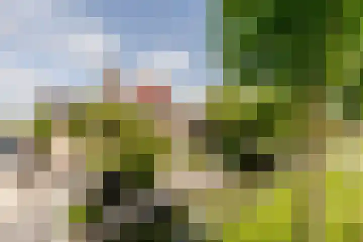 Oosthuizerweg 48 Noordbeemster thumbnail 60