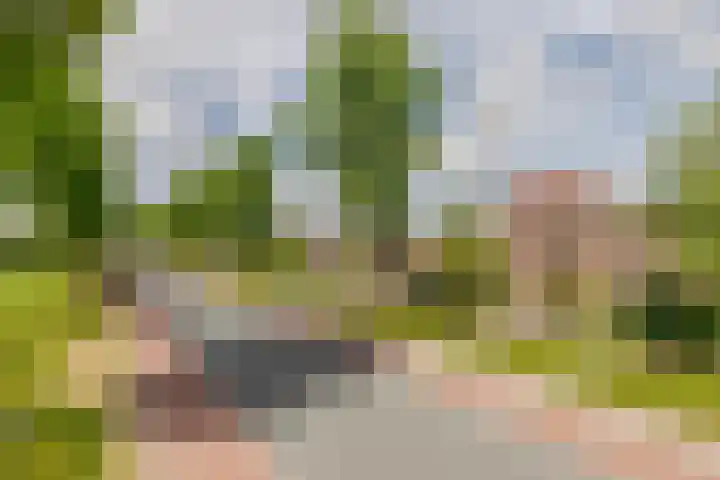 Oosthuizerweg 48 Noordbeemster thumbnail 62
