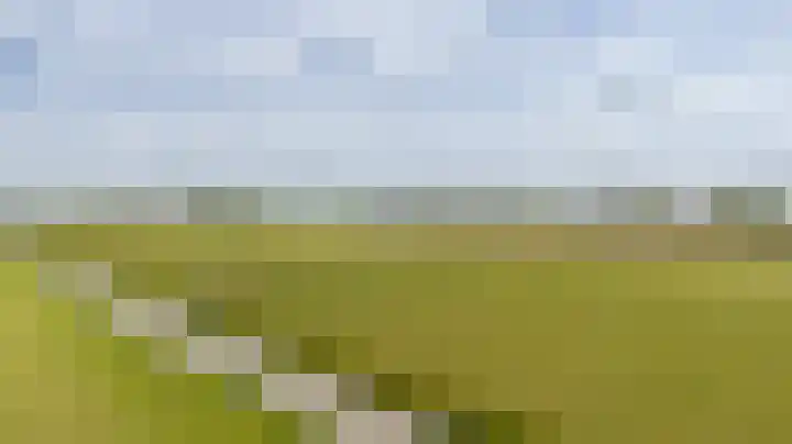 Oosthuizerweg 48 Noordbeemster thumbnail 63