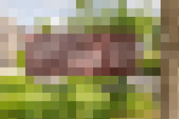 Oosthuizerweg 48 Noordbeemster thumbnail 67