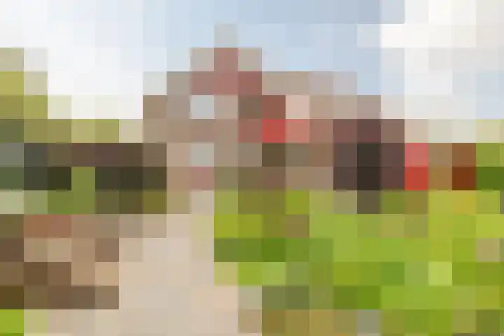 Oosthuizerweg 48 Noordbeemster thumbnail 75