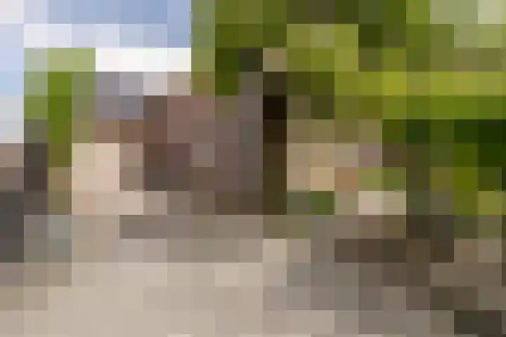 Oosthuizerweg 48 Noordbeemster thumbnail 8