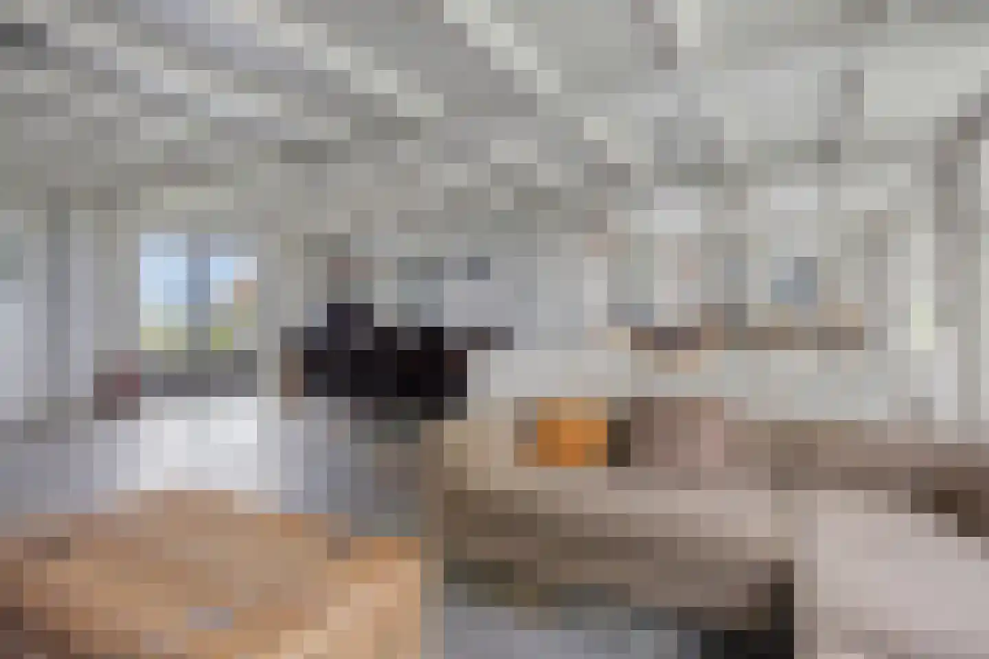 Oosthuizerweg 50 Noordbeemster thumbnail 19