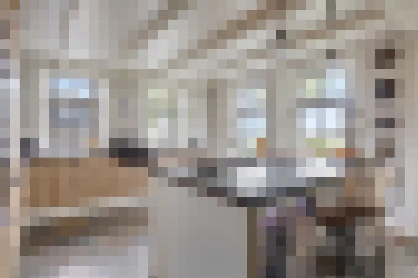 Oosthuizerweg 50 Noordbeemster thumbnail 28