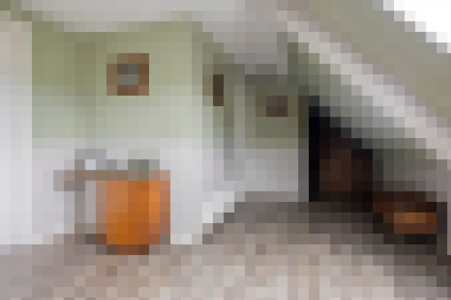 Oosthuizerweg 50 Noordbeemster thumbnail 40