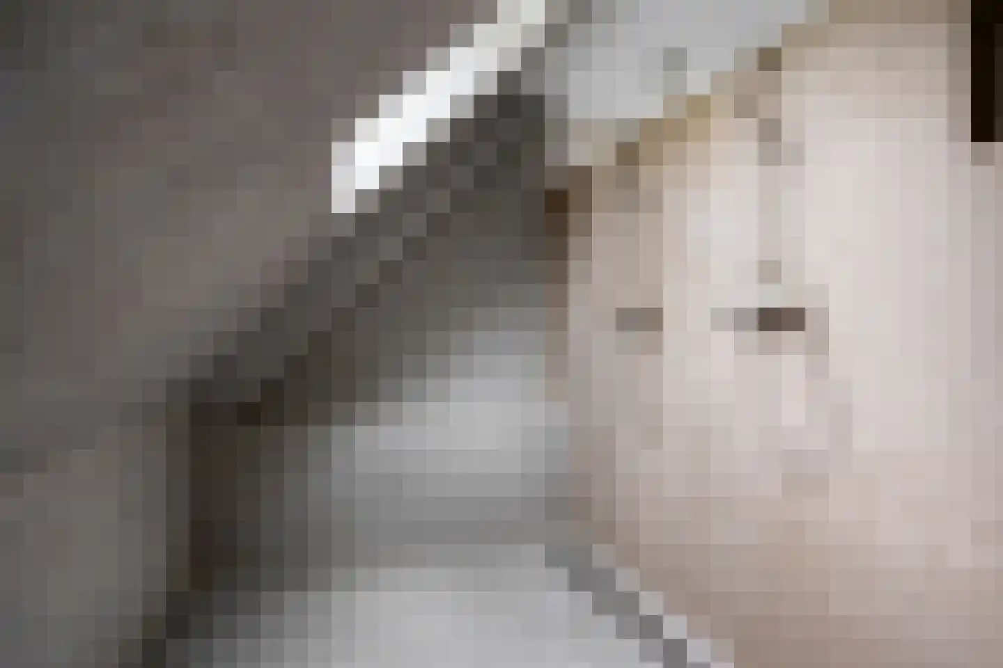 Oosthuizerweg 50 Noordbeemster thumbnail 49