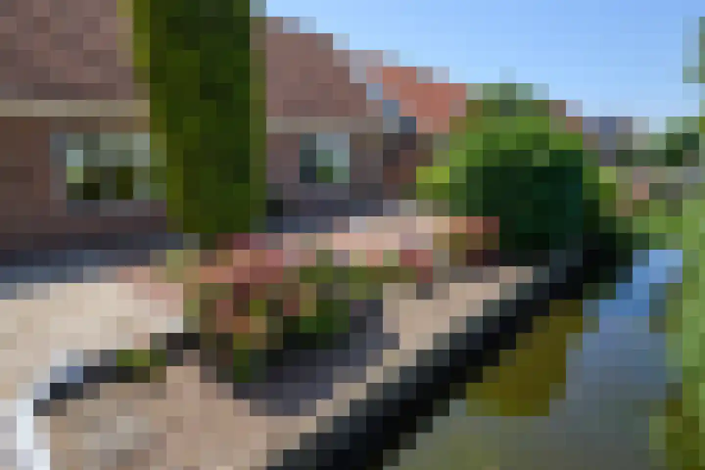 Oosthuizerweg 64 Noordbeemster thumbnail 10