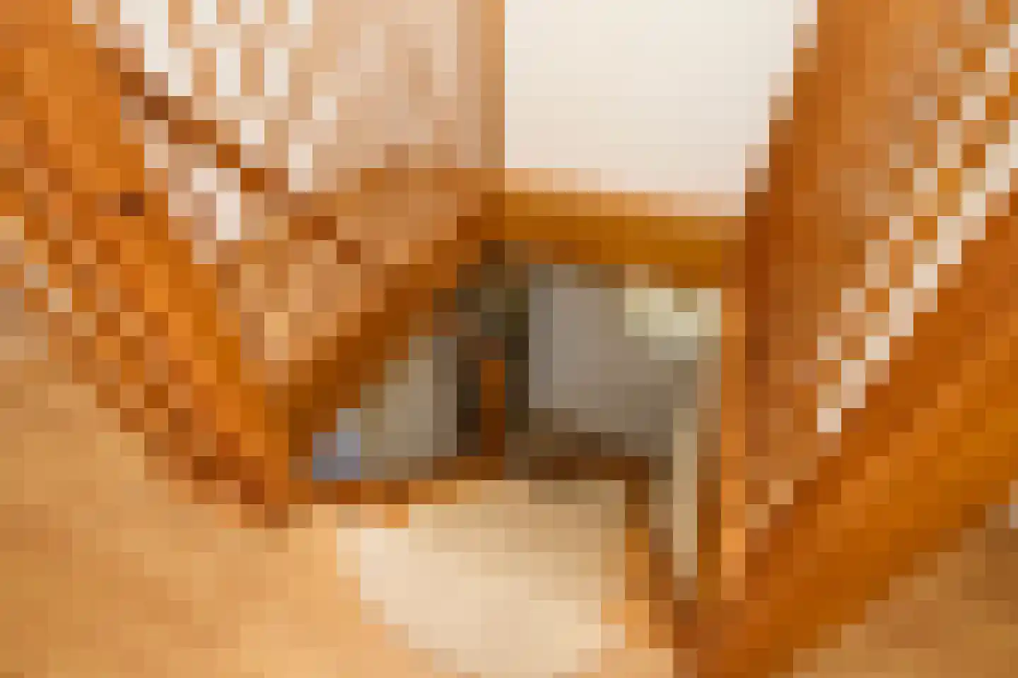 Oosthuizerweg 64 Noordbeemster thumbnail 30