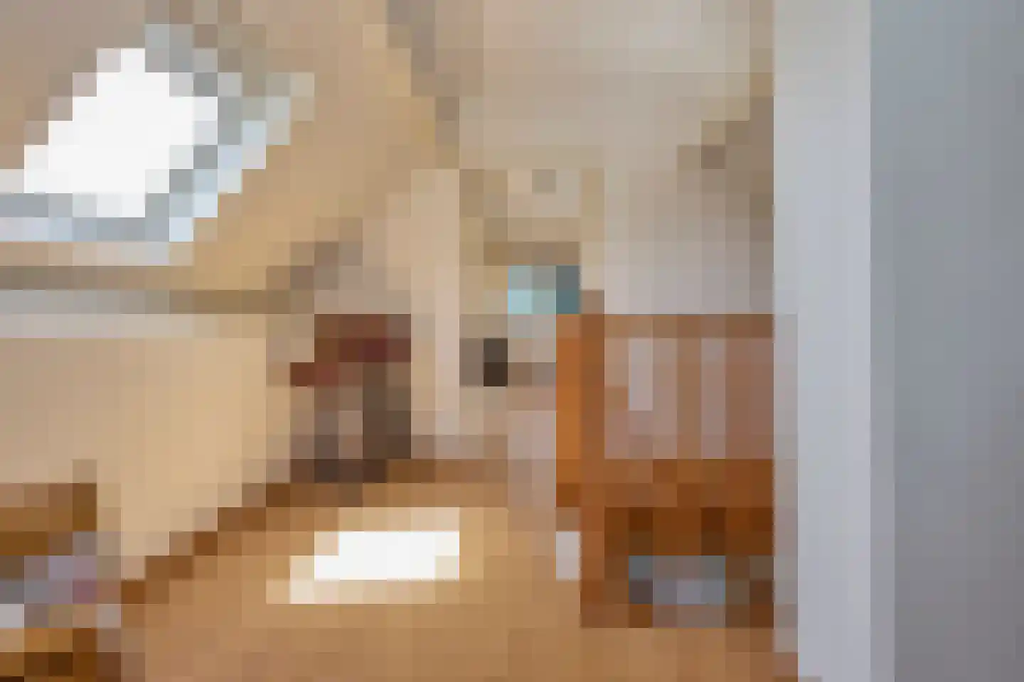 Oosthuizerweg 64 Noordbeemster thumbnail 31