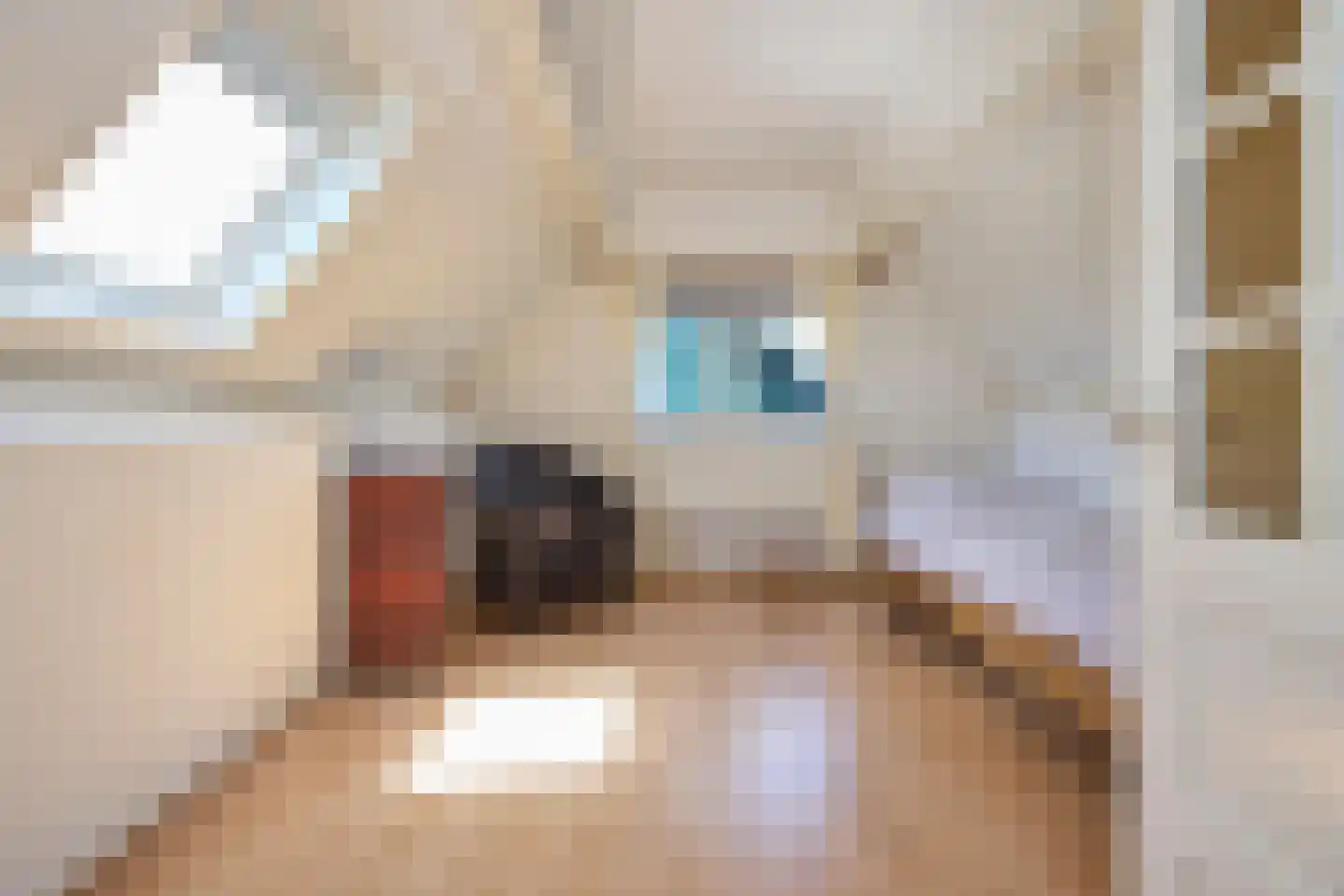 Oosthuizerweg 64 Noordbeemster thumbnail 37