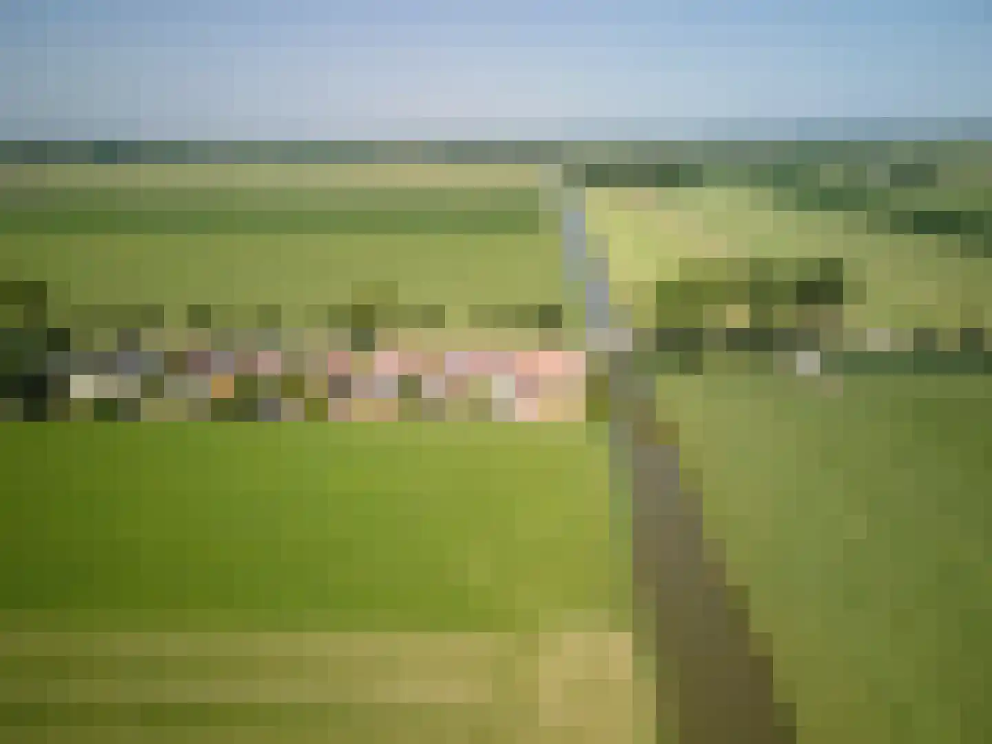 Oosthuizerweg 64 Noordbeemster thumbnail 53