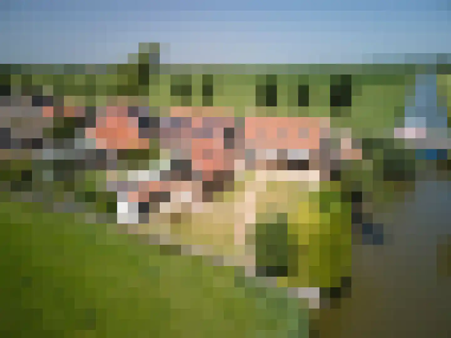 Oosthuizerweg 64 Noordbeemster thumbnail 6