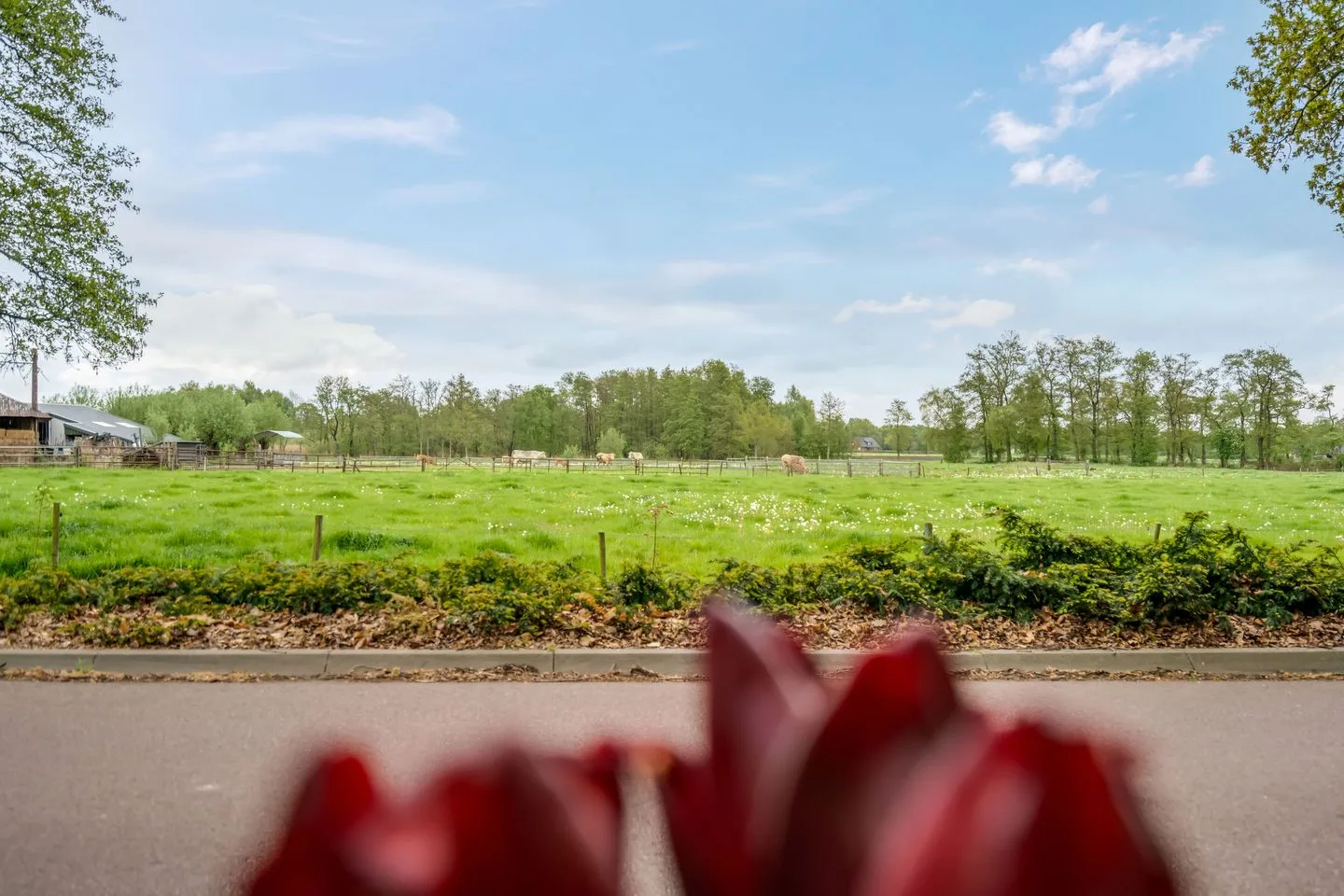 Oostindie 19 Zevenhuizen thumbnail 17