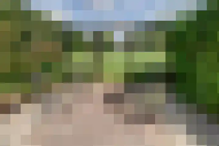 Oostindischewijk 5 Zevenhuizen thumbnail 28