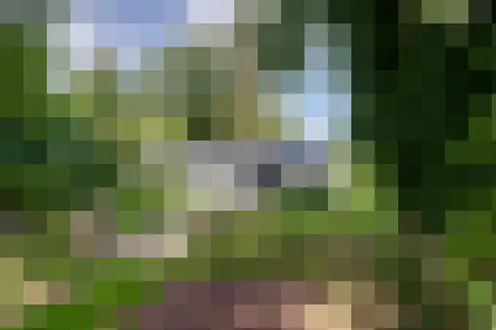 Oostindischewijk 5 Zevenhuizen thumbnail 31