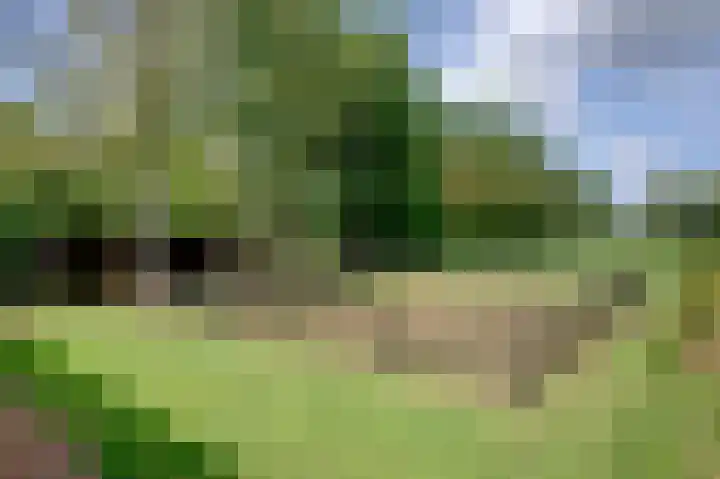 Oostindischewijk 5 Zevenhuizen thumbnail 33