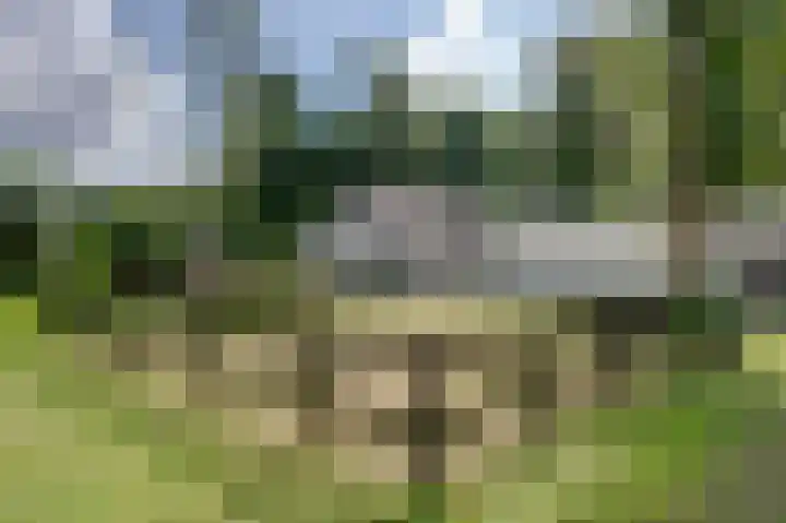 Oostindischewijk 5 Zevenhuizen thumbnail 35