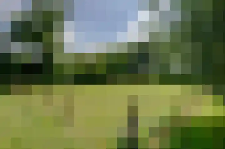 Oostindischewijk 5 Zevenhuizen thumbnail 37