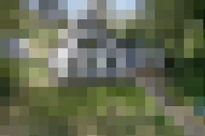 Oostindischewijk 5 Zevenhuizen thumbnail 40