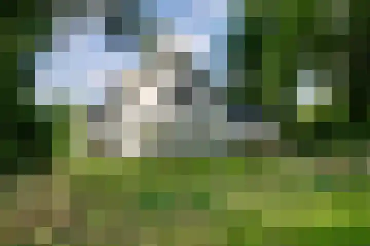 Oostindischewijk 5 Zevenhuizen thumbnail 5