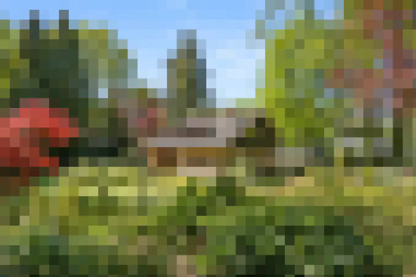 Oostinglaan 3 Wageningen thumbnail 10