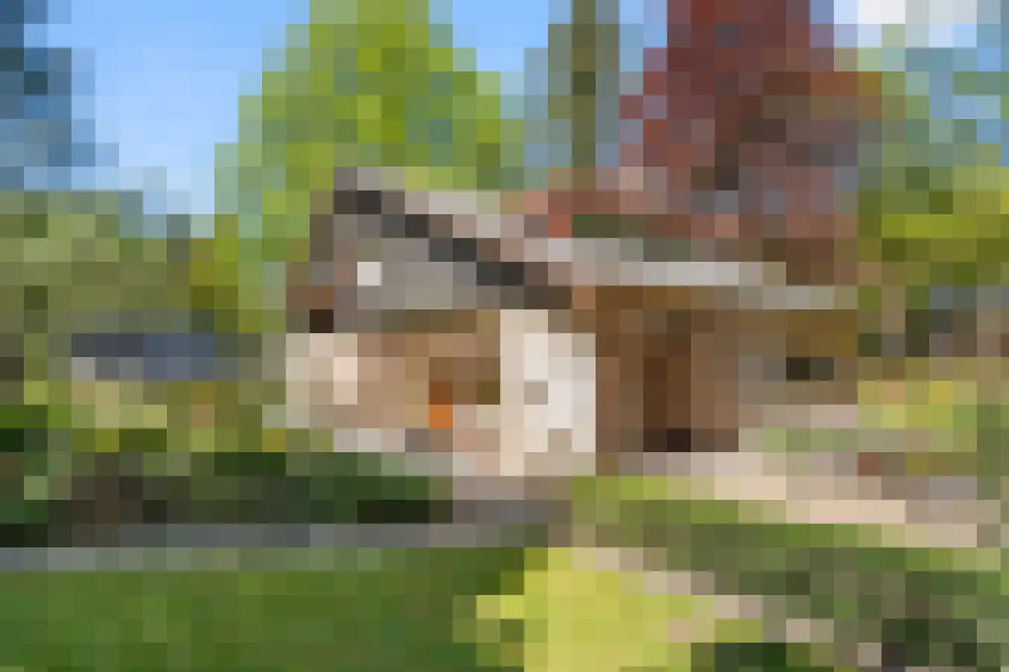 Oostinglaan 3 Wageningen thumbnail 13