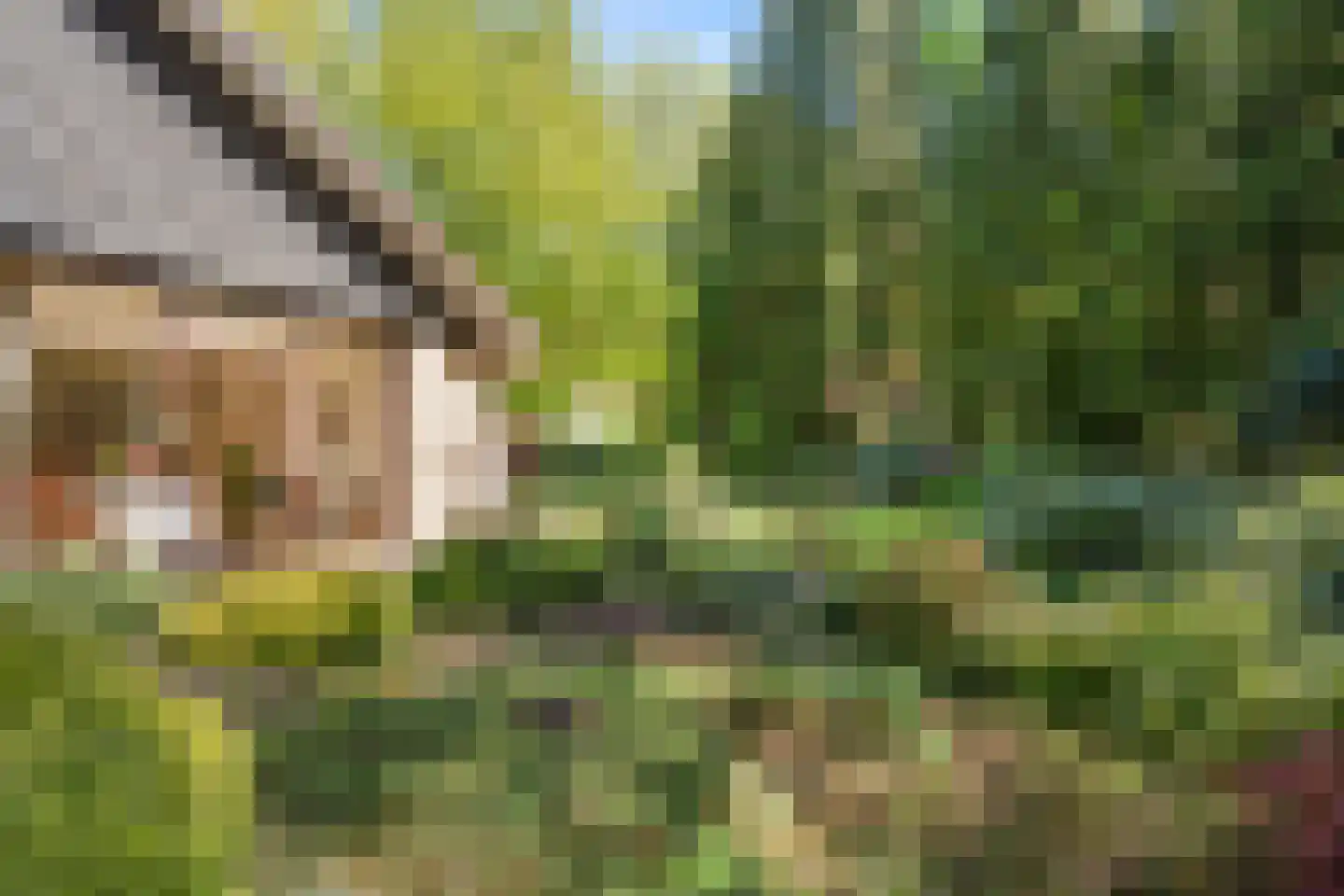 Oostinglaan 3 Wageningen thumbnail 17