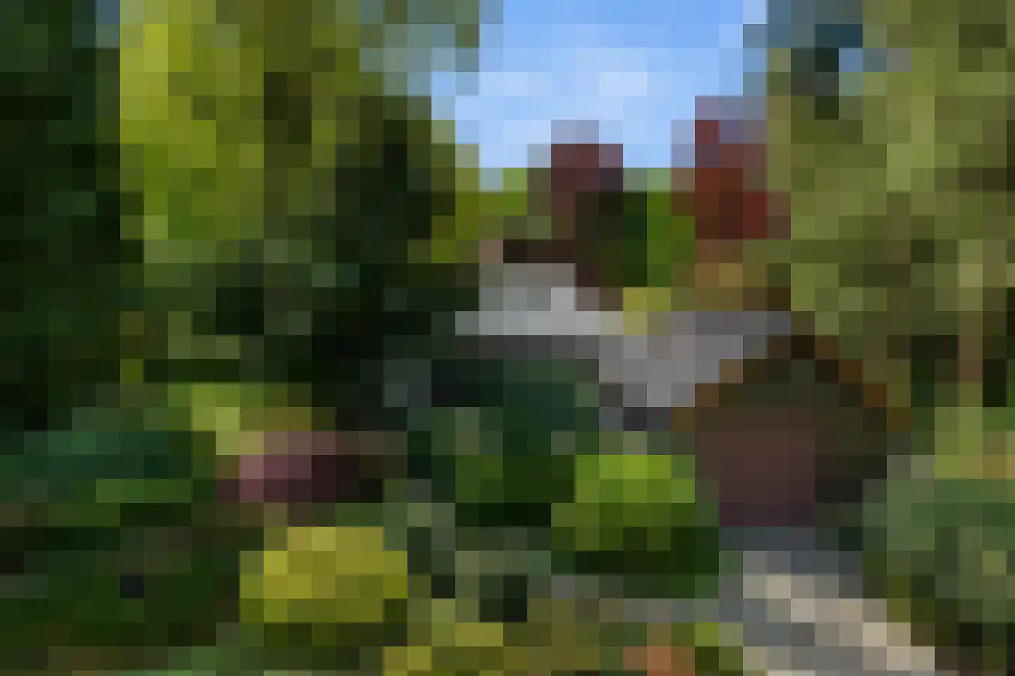 Oostinglaan 3 Wageningen thumbnail 18