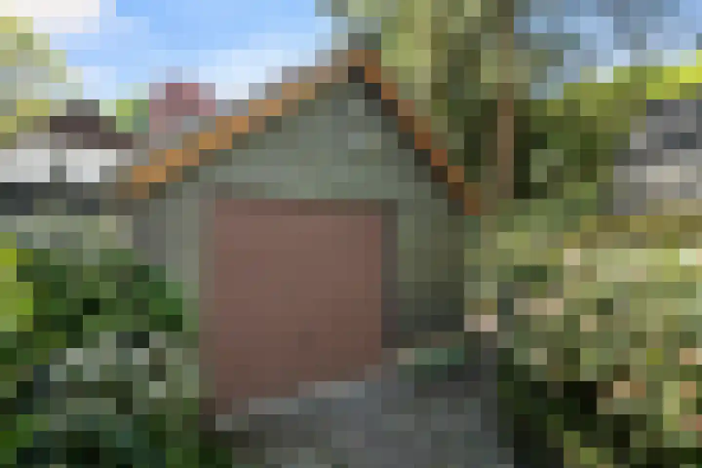 Oostinglaan 3 Wageningen thumbnail 19