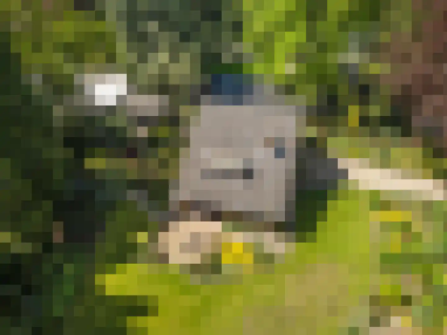 Oostinglaan 3 Wageningen thumbnail 22