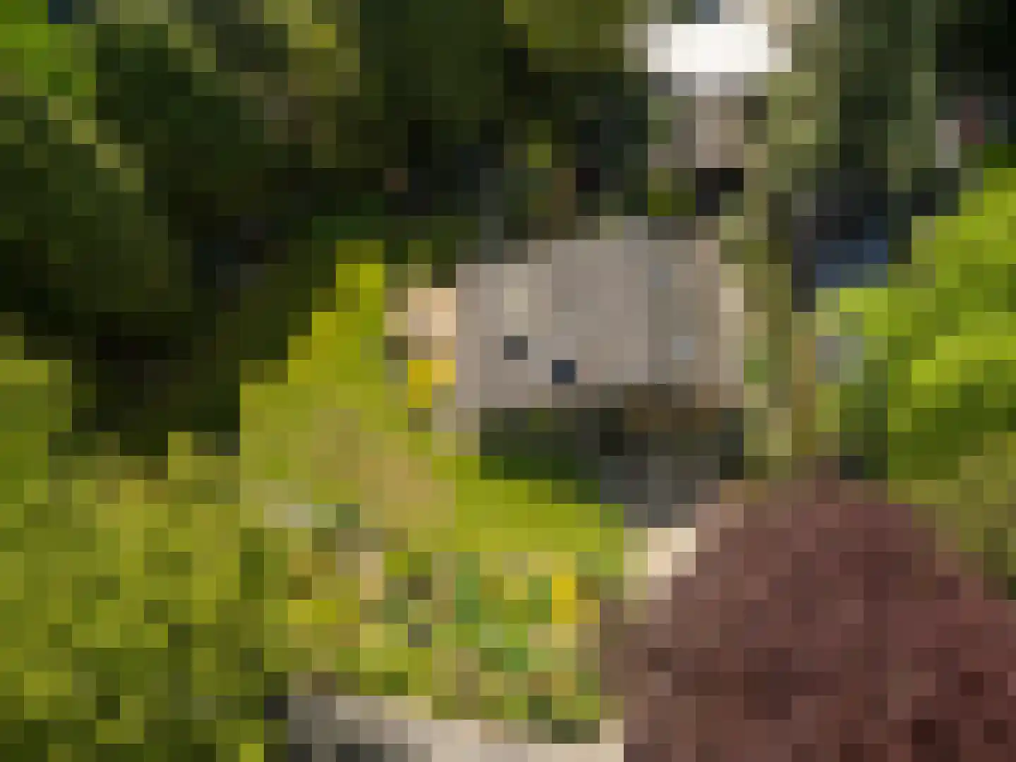 Oostinglaan 3 Wageningen thumbnail 23