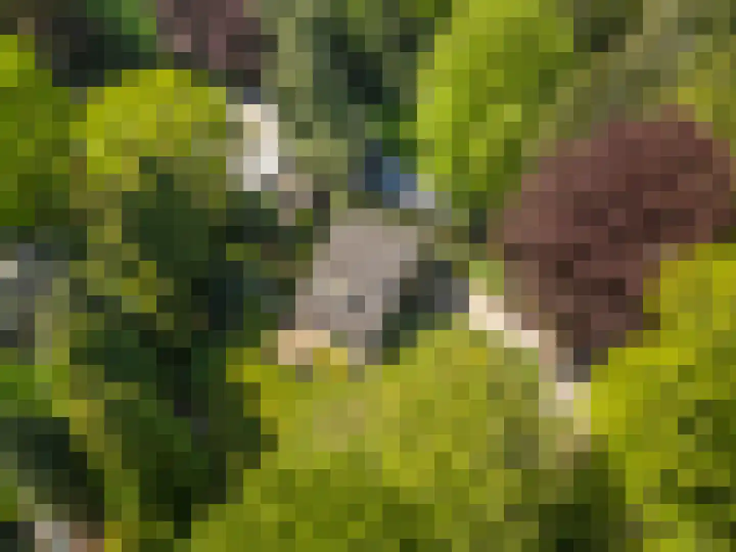 Oostinglaan 3 Wageningen thumbnail 24