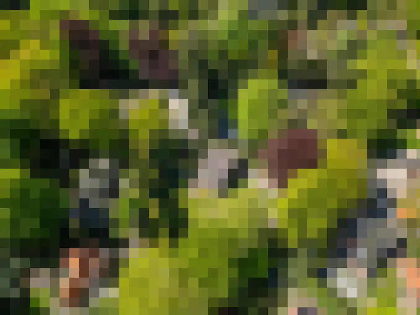 Oostinglaan 3 Wageningen thumbnail 25