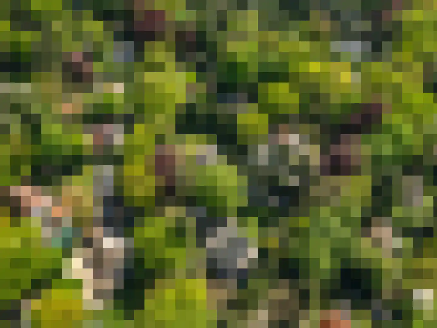 Oostinglaan 3 Wageningen thumbnail 26