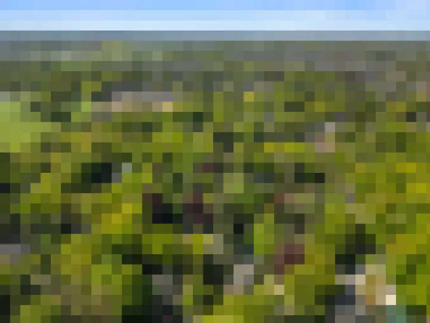 Oostinglaan 3 Wageningen thumbnail 27