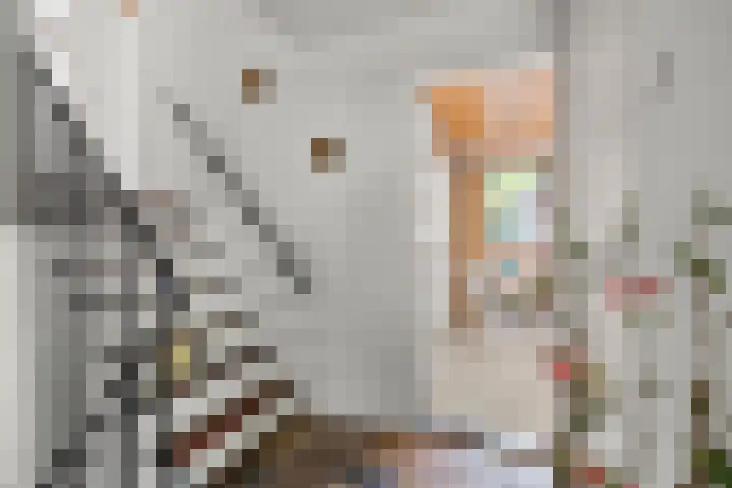 Oostinglaan 3 Wageningen thumbnail 42