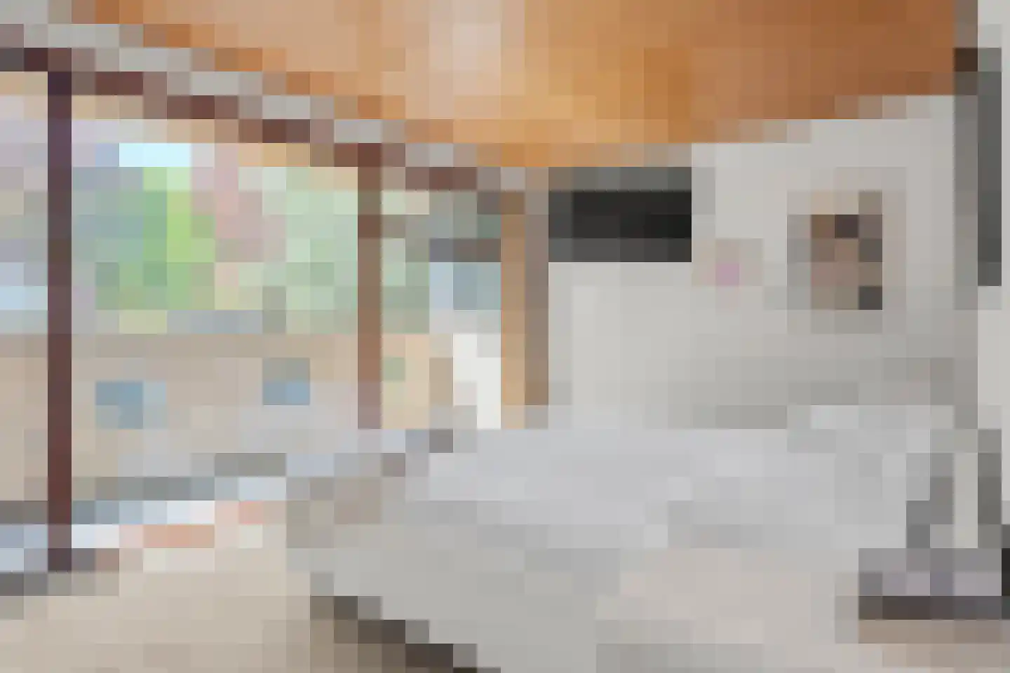 Oostinglaan 3 Wageningen thumbnail 46