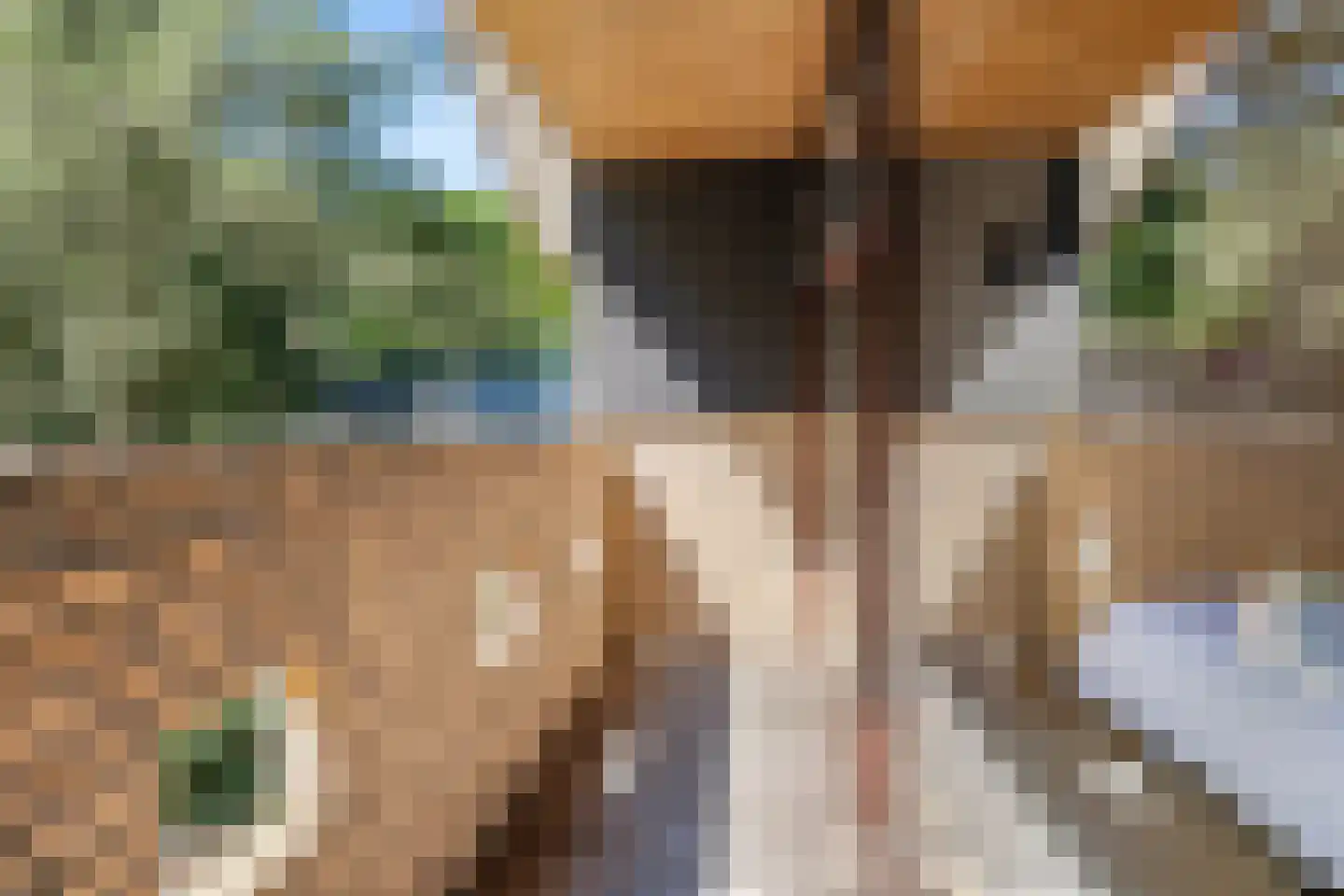 Oostinglaan 3 Wageningen thumbnail 48