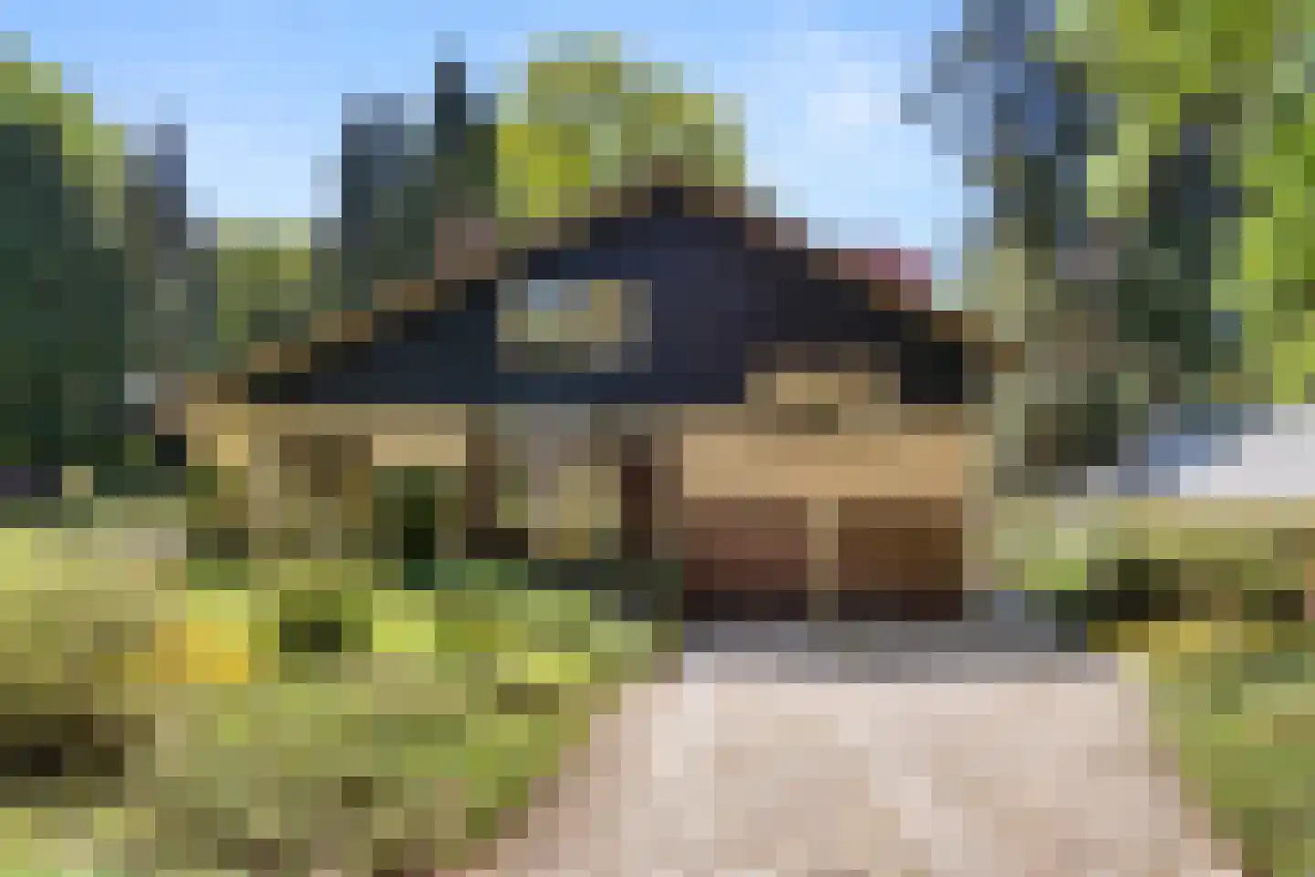 Oostinglaan 3 Wageningen thumbnail 6